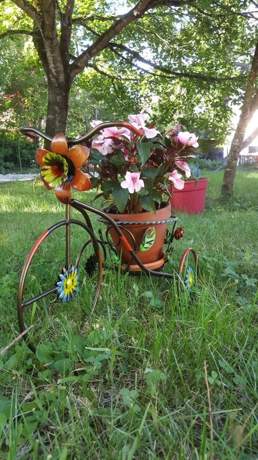 Le Saule Reveur Bed & Breakfast Die Exterior photo